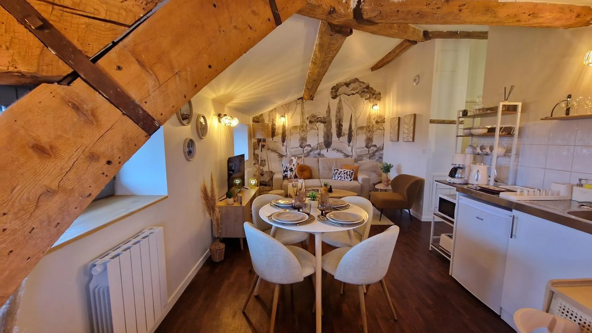 Suite Lodge Cocon Lyon 0*,