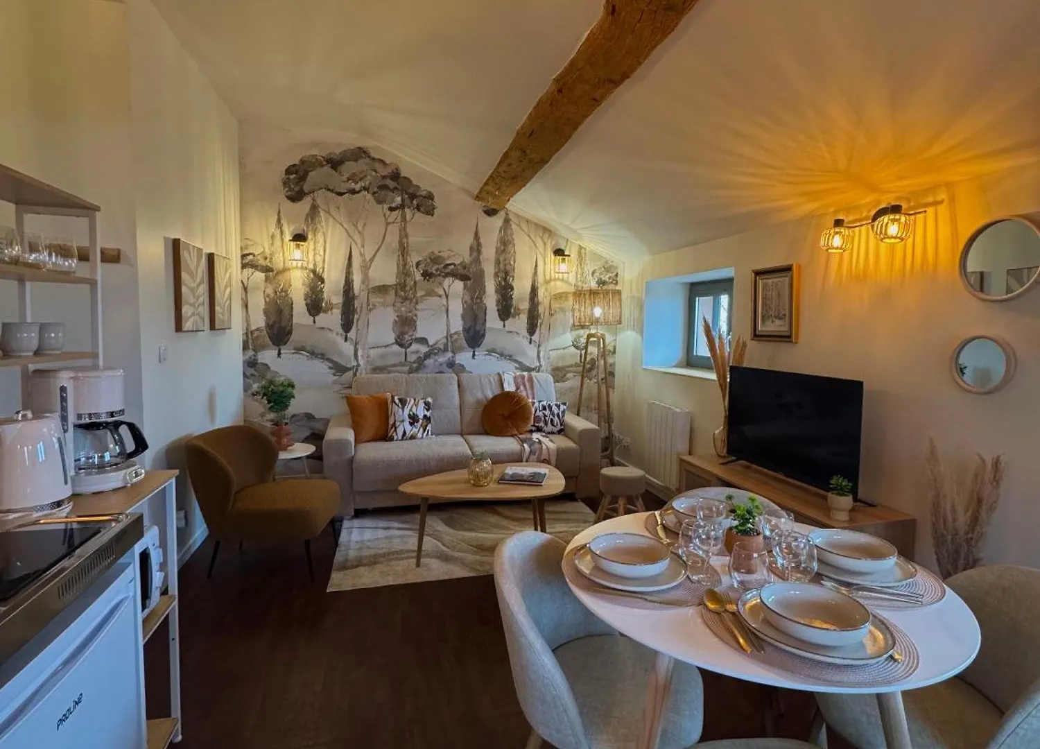 Apartment Suite Lodge Cocon Lyon